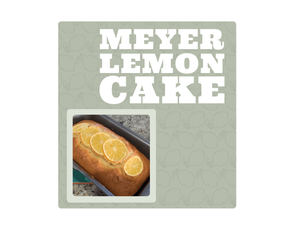 Meyer Lemon Cake